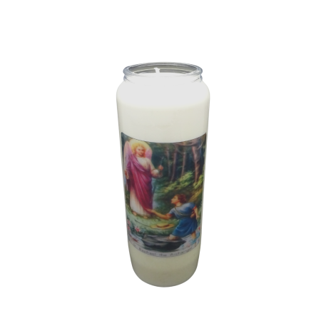 Noveenkaars 167 - EN009 - 9 dagen brander (5 stuks)