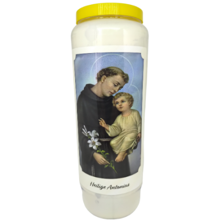 Heilige Antonius - Noveenkaars - 9 dagen brander (5 stuks)
